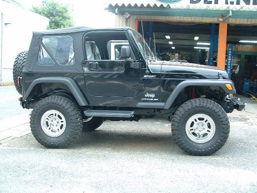 P-tj2 (1).JPG